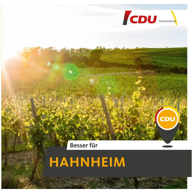 CDU-HH-Flyer-08-S1-0001